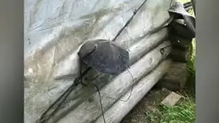 отдых на природе