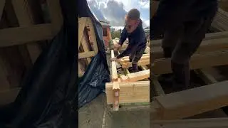 Satisfying log cabin building #buildingalogcabin #cabinbuild #logcabinbuilding #diy #cabin #shorts