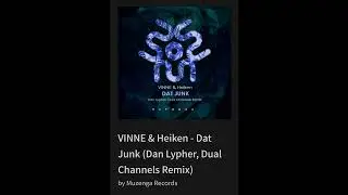 VINNE & Heiken - Dat Junk (Dan Lypher, Dual Channels Remix)