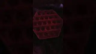 pop