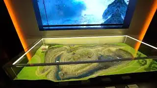 Музейное пространство 