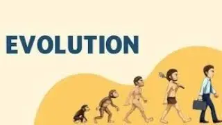 EVOLUTION|Part1|NMDCAT|SINDHMDCAT|DMC|JSMU|KMU|BMC|NUMS|LUMHS|UHS|PMDC|PMC|BIOLOGY|PUNJAB TEXT BOOK|
