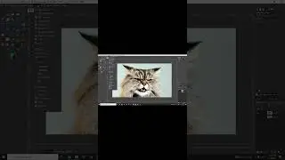 Short How To Add a Color filter To an Image