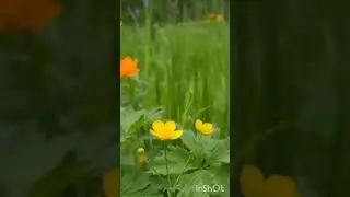 хэерле кич ,кунелле ял сэгатьлэре дусларым!