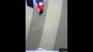 ensinando como fazer um quintal parte 1