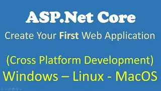 Create First Web Application in ASP.Net Core 3.1 (Hindi / Urdu)