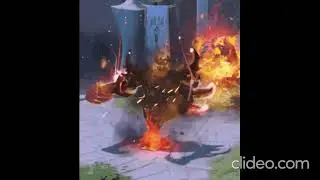 NAYL - ARLECINO