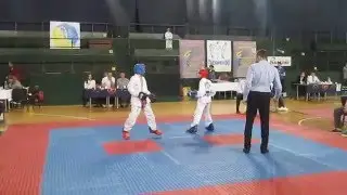 Kosolapov Ivan — Rudenko Dmytro — Command Sparring — Kyiv GTF-ITF 2016 (May)