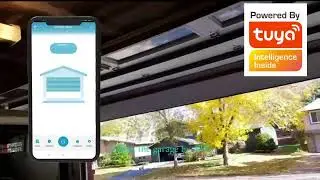 Tuya Switch Garage Door Controller