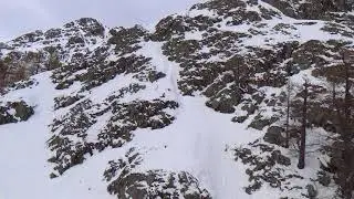 Альпы. Горный козел.