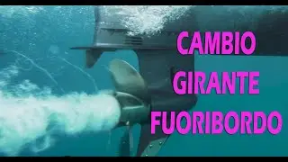 Cambio girante e revisione gruppo pompa Yamaha top700