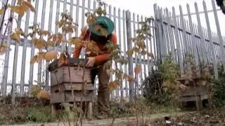 Who Killed the Honey Bee-Part 2 of 4