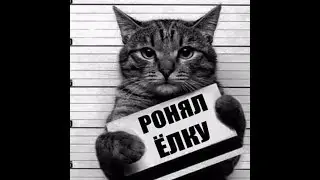 Смешные животные.Тест на психику,попробуй не засмеяться/funny animals