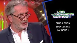 Faut-il enfin légaliser le cannabis ?