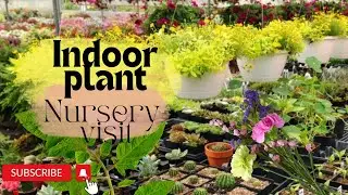 Nursery garden visit