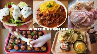 A week of meals/ Edamame Falafel, Spring Wild Veggies dish, Escape from the city