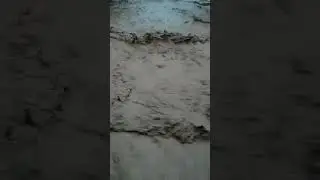 Сел дар д\ж Хонобод (Исфара) 15.06.2018.