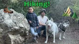 Taking the Huskies for their First Hike!