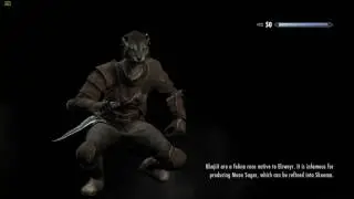Skyrim Requiem - Labyrinthian1