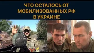 Смотрите матери России, куда отправляют ваших детей
