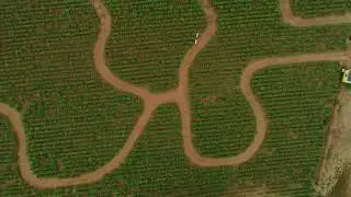 Fox Hollow Farms