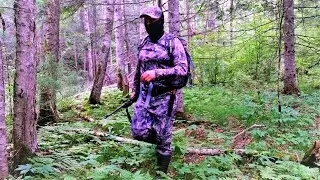 НЕСКОЛЬКО ДНЕЙ В БОГАТЕЙШЕЙ ТАЙГЕ ДАЛЬНЕГО ВОСТОКА. МЫ ЕЕ ЛЮБИМ И ЦЕНИМ, ОНА ОТВЕЧАЕТ ВЗАИМНОСТЬЮ!