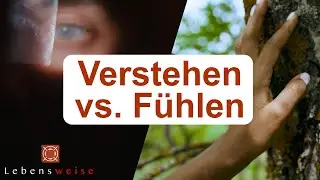 Wenn der SCHNELLE VERSTAND zum Hindernis wird …