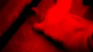 Севастополь-Силаевский рынок-снова травля.