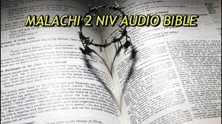 MALACHI 2 NIV AUDIO BIBLE(with text)