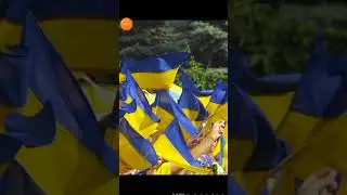 Где живут мои подписчики