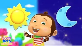Zıt Şarkı, Öğrenme Videosu ve Komik Karikatür Küçükler İçin - Loco Nuts