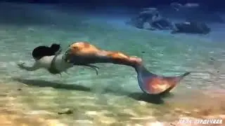 Ди Дю Ля—Парящий в облаках