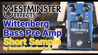 【Westminster Effects】Wittenberg Bass Preamp - Short Sample