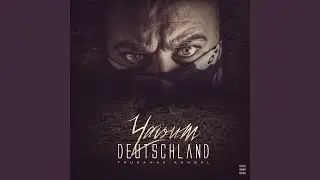 Bandenkriminalität
