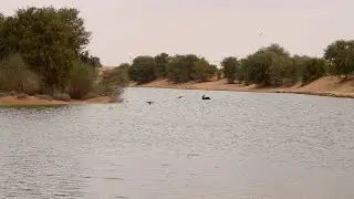 Al Qudra Lake Dubai - Part 2