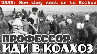 Наука в СССР и Профессора на Картофельных Полях