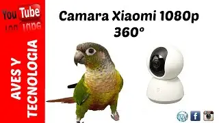 Xiaomi Camara 1080p   Aves y tecnologia