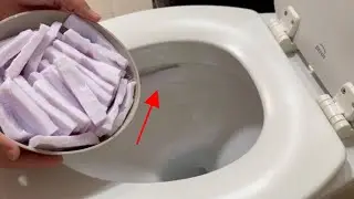 ONLY 2 INGREDIENTS!  Toilet Always Scented and Sanitized!