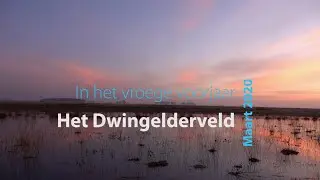 Het Dwingelderveld in het vroege corona voorjaar van 2020