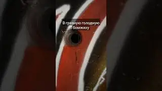18 апреля 2024 г.