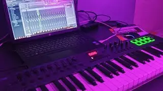 Gin Vinyla play lounge/lo-fi music. Fruity loops 20. Nektar impact lx 49+