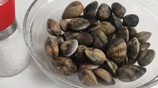 Como LIMPIAR las ALMEJAS antes de cocinarlas (La forma mas FACIL y RAPIDA) 🦪
