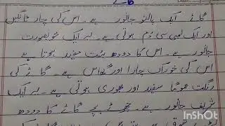 Short Essay On "Cow"in اردو مضمون "گاۓ"براۓ جماعت دوم/سوم@bulbulseduvlogs7041