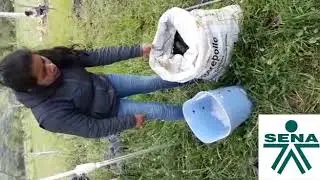 TUTORIAL POLO A TIERRA