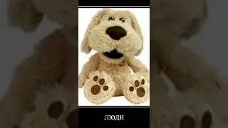 видео я взял из тик тока и Простите что я так много не снимать видео
