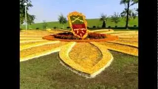 Dj G Cub-ZP City