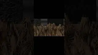 When You Load Instead of Saving