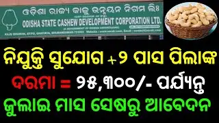 OSCDCL ନିଯୁକ୍ତି ସୁଯୋଗ 2022। କାଜୁ ଉନ୍ନୟନରେ ବାହାରିଲା Vacancy in Odisha