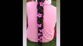 Beautiful Thick Long Braid