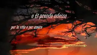 Michele Zarrillo-La Notte Dei Pensieri [ +Testo ]
